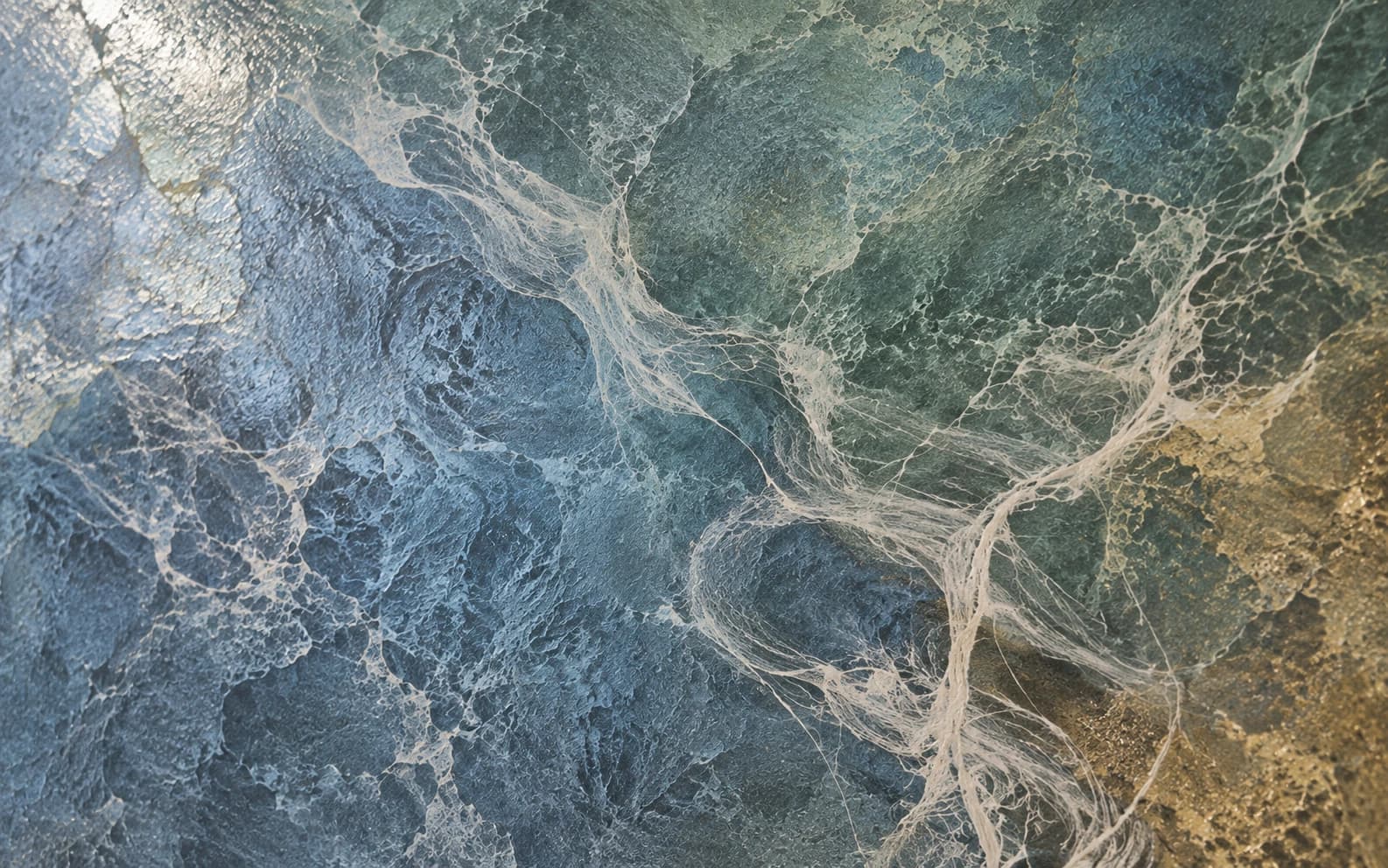 Quand la peinture devient tableau : l'Open Gallery de LITORRA sort la matière du showroom